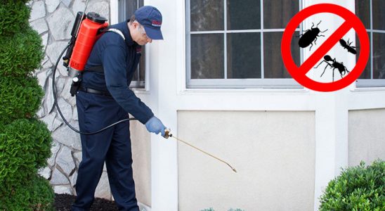 Derepazarı Böcek İlaçlama böcek ilaçlama ve haşere kontrolü — ilaclama-tr.com